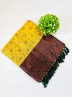 SAI-PALLAVI SAREE - Image 3